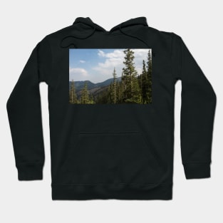 Mountains and Trees Hoodie